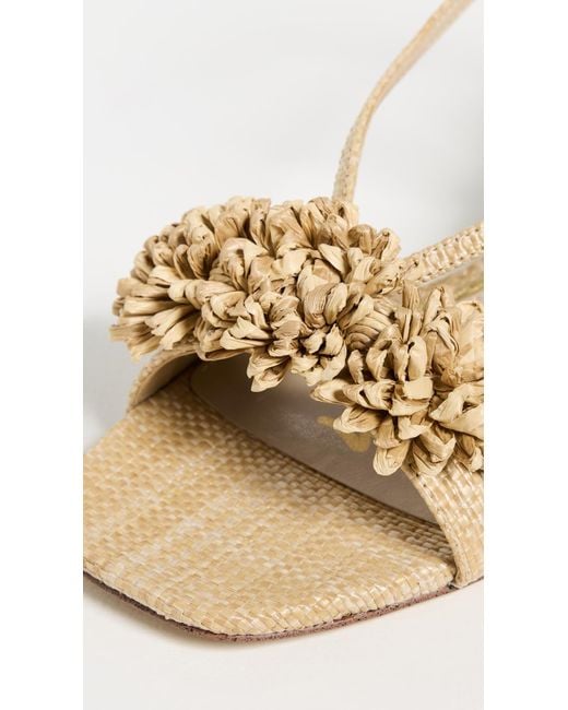 Sam Edelman White Phoebe Heels