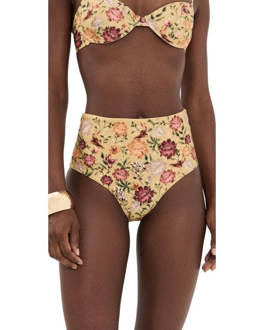 Agua Bendita Brown Paramo Bikini Bottoms