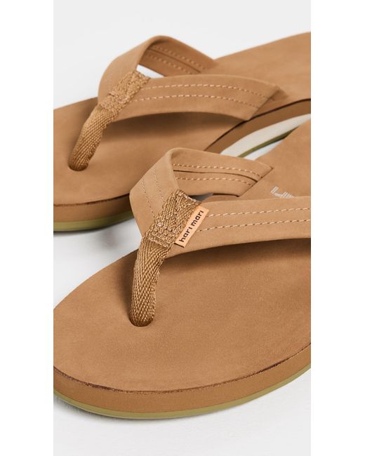 Hari Mari Black Fields Flip Flops for men
