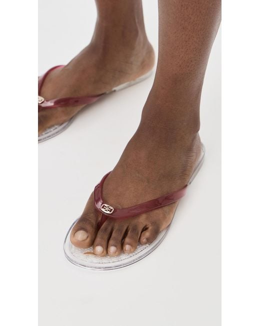 Sam Edelman Black Dean Jelly Flip Flops
