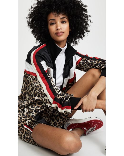 Pam & Gela Black Colorblock Stand Collar Leopard-print Track Jacket