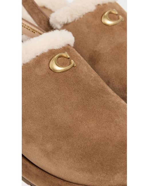 COACH White Sculpted C Suede Shearling Platform Clogs
