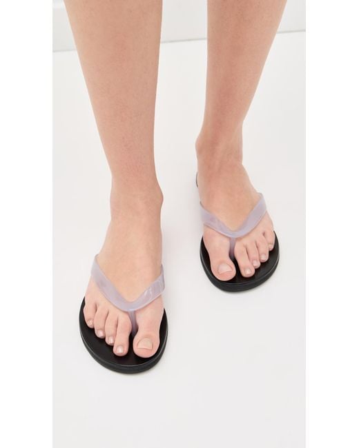 Black Suede Studio Black Jelly Flip Flops
