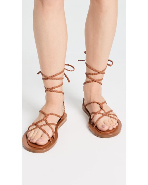 Co. Brown Rope Gladiator Sandals