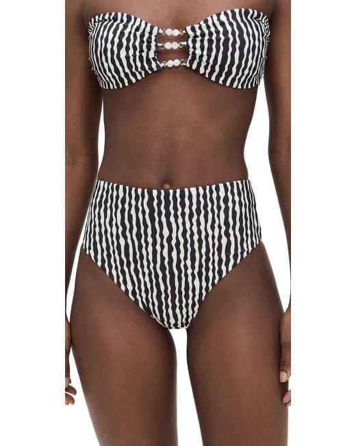 Palmacea Multicolor Sua Bikini Bottoms