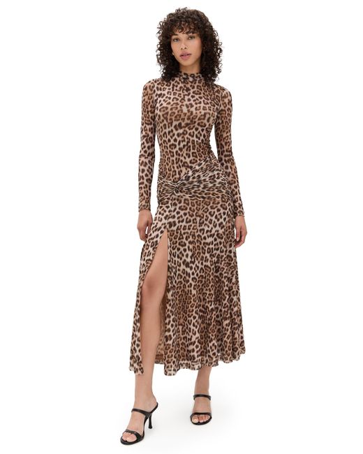 Bardot Natural Lea Printed Mesh Midi Dress
