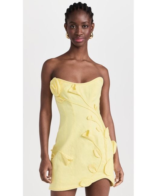 Zimmermann Yellow Matchmaker Rose Mini Dress