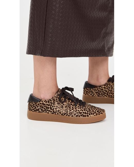 Tory Burch Multicolor Phoenix Sneakers