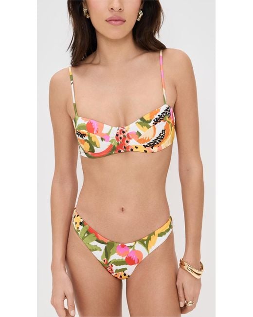 Farm Rio Black Fruits Paradise Underwire Bikini Top