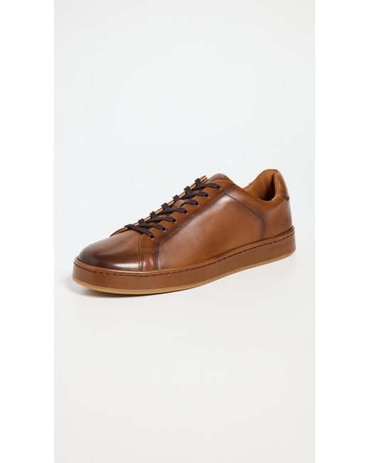 Allen Edmonds Brown Barnes Sneakers for men