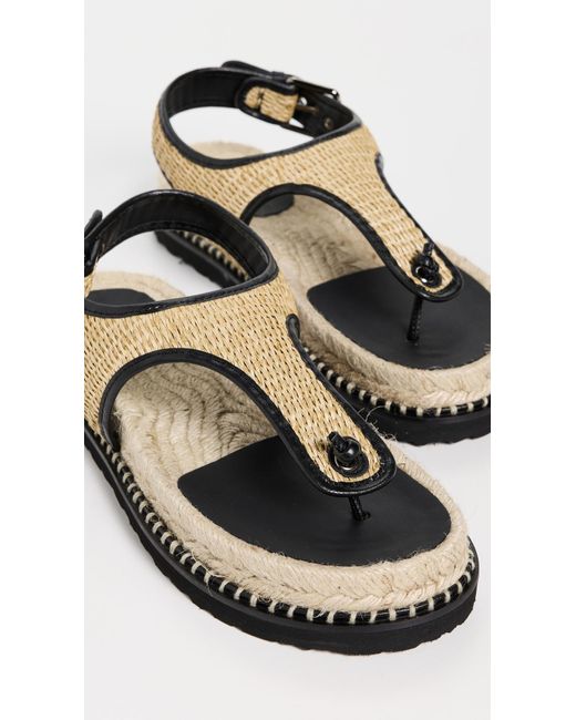 サンダル・ミュール Castaner Tamesis Sport Sandals Castañer Tamesis Sport Sandals in Black | Lyst