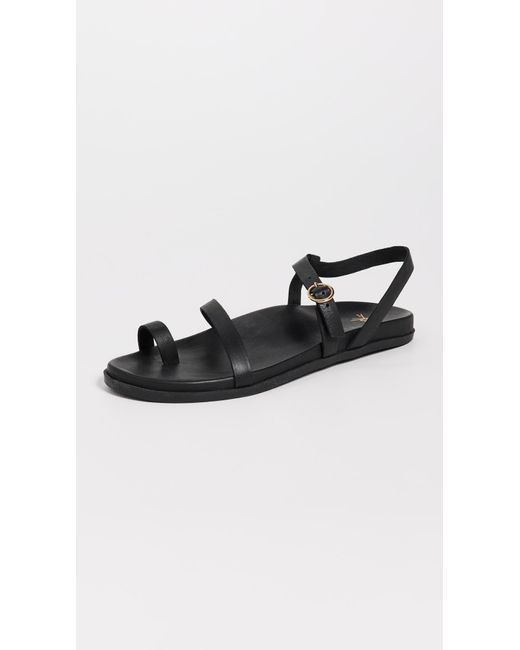 Beek Black Auklet Sandals