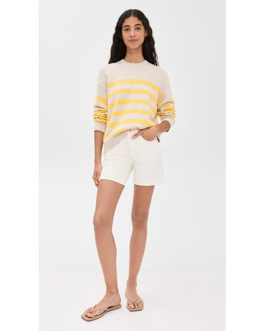 DAZE Multicolor Carlyle Sweater