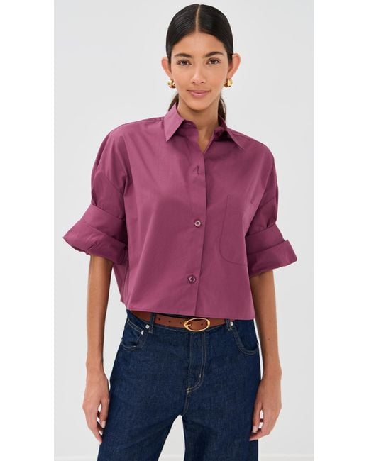 Twp Purple Next Ex Button Down Shirt