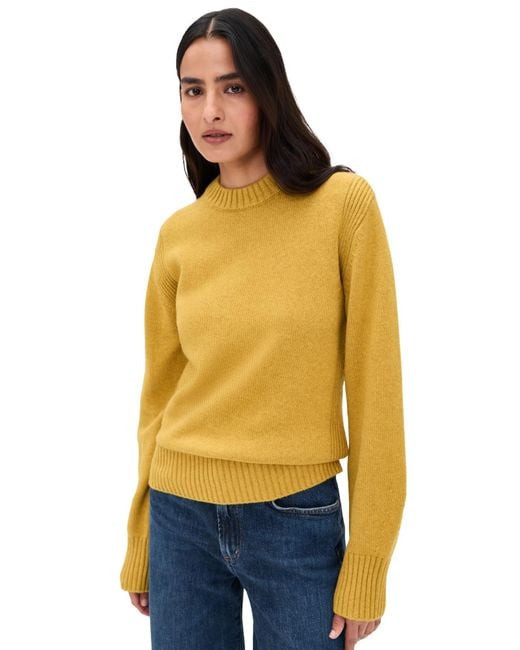 ALIGNE Orange Dion Knitted Sweater