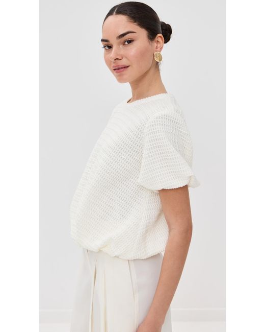Only Child White Clover Top