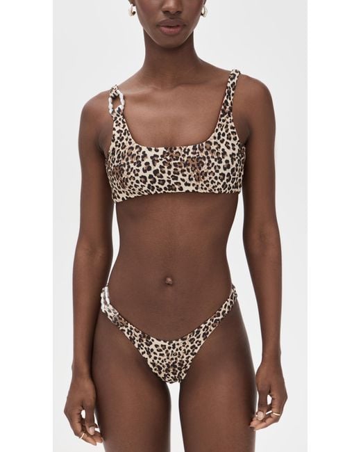 Palmacea Brown Thani Top