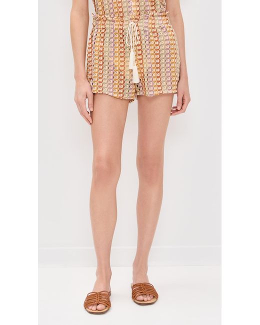 Palmacea Multicolor Irene Shorts
