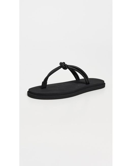Emme Parsons Black Knot Pool Slides
