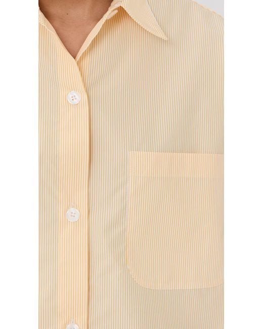 Twp Multicolor Next Ex Buttondown