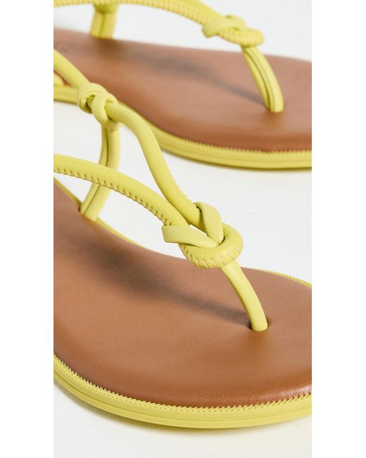 Havaianas Multicolor Una Acai Eur Sandals