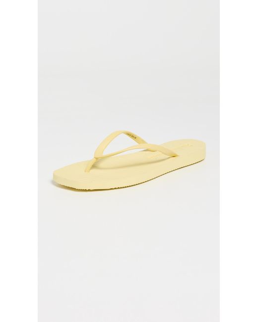 Sleeper Multicolor Tapered Flip Flops
