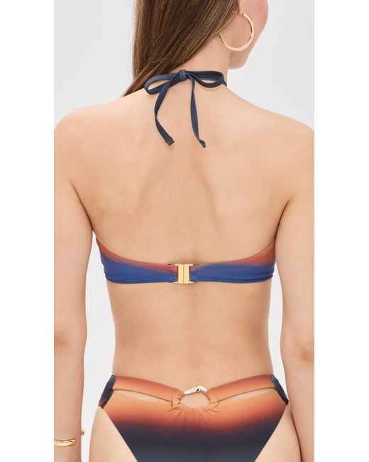 Nomads Blue Palm Bikini Top