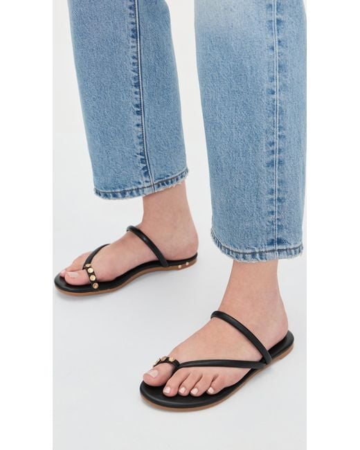 Beek Black Starbird Sandals
