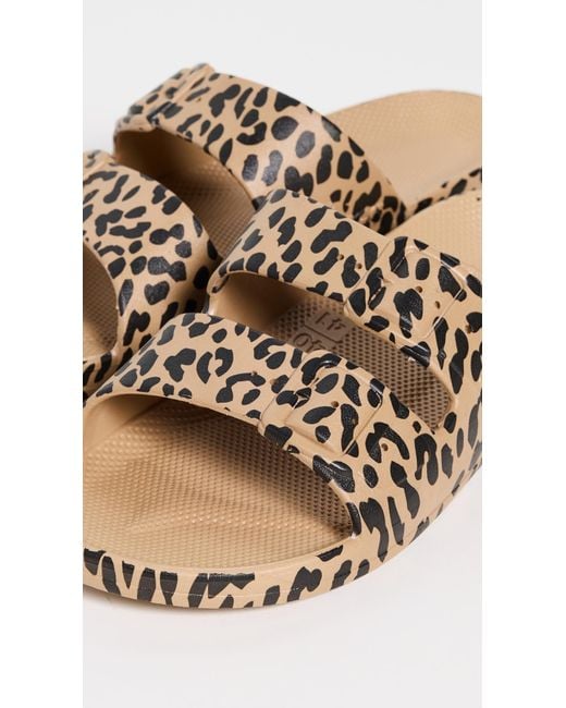 Leo Camel Slides