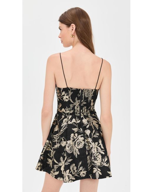 Alice + Olivia Black Daniela Bow Structured Pleated Mini Dress