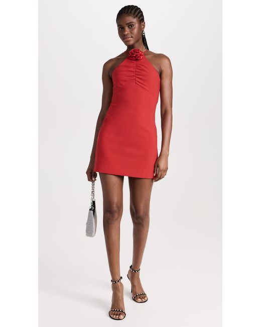 Likely Red Carro Dress