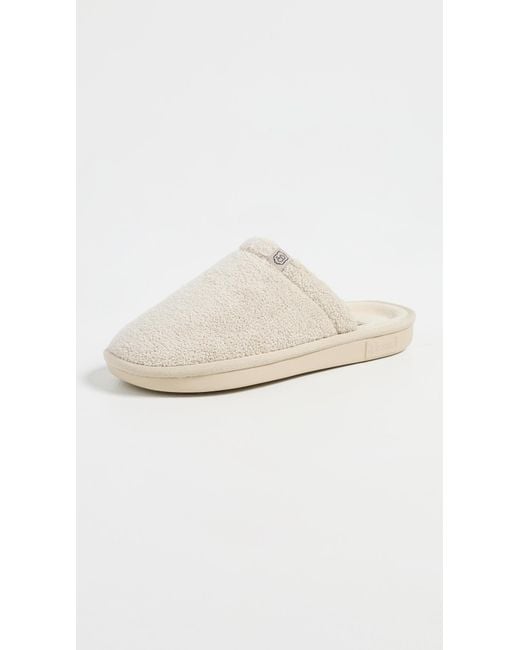 Brunch White Essential Slippers