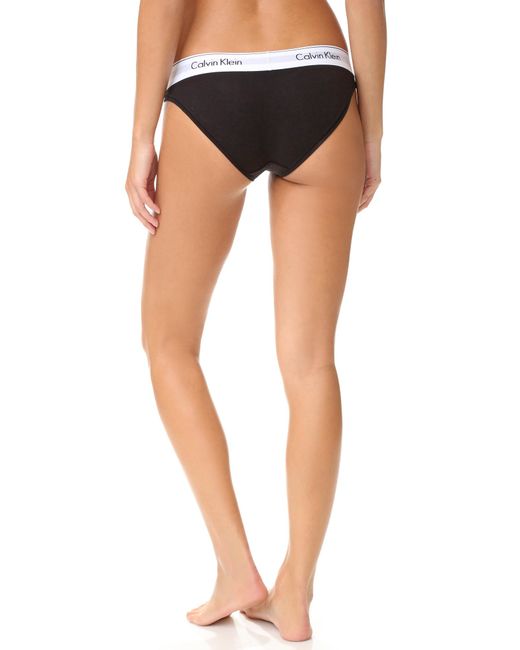 calvin klein modern bikini briefs