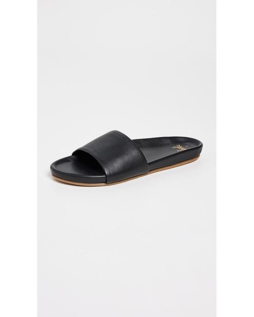 Beek Black Gallito Slides