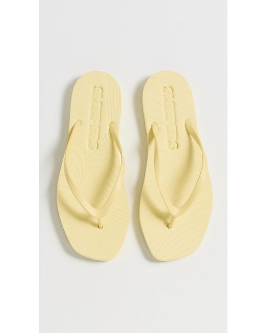 Sleeper Multicolor Tapered Flip Flops