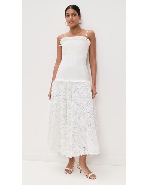 casual fitted midi dress Ivy Fitted Midi Dress in Bone