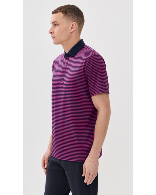 Redvanly Purple Baker Polo for men