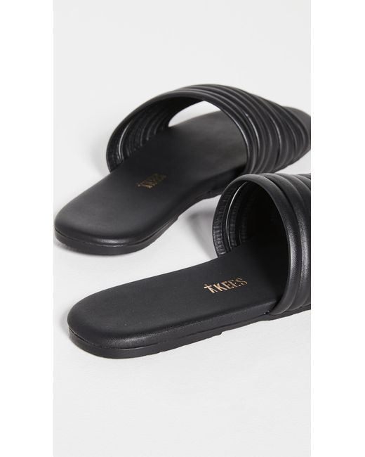 tkees caro black