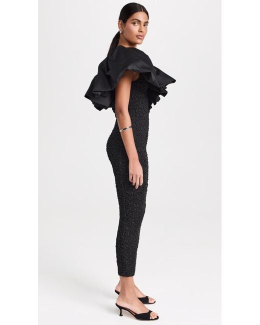 Lexi zia dress hotsell