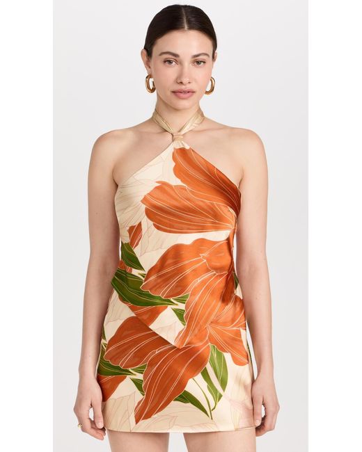 retroféte Orange Adeaide Dress Neutra Botanica