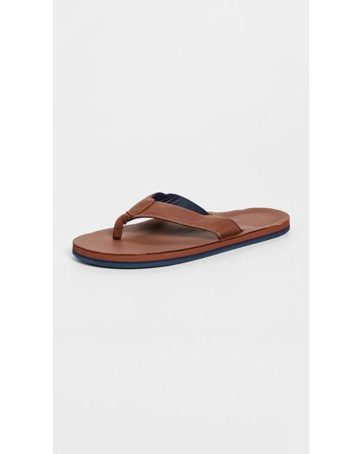 Hari Mari Multicolor The Clipper Flip Flops for men