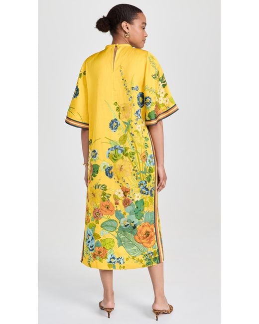 almais floral satin midi dress Almais, Citron Floral Midi dress, Women, Multicolor, US 0, Dresses, Materialmix