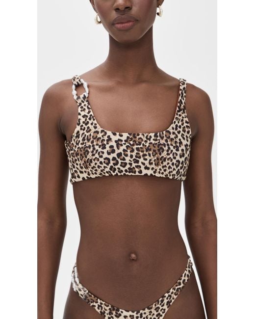 Palmacea Brown Thani Top