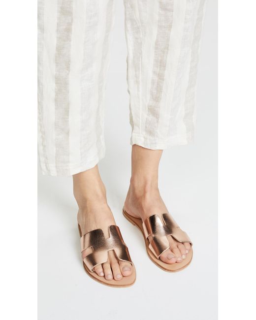 steve madden greece sandals nordstrom