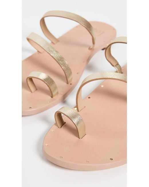 Beek Black Nene Sandals