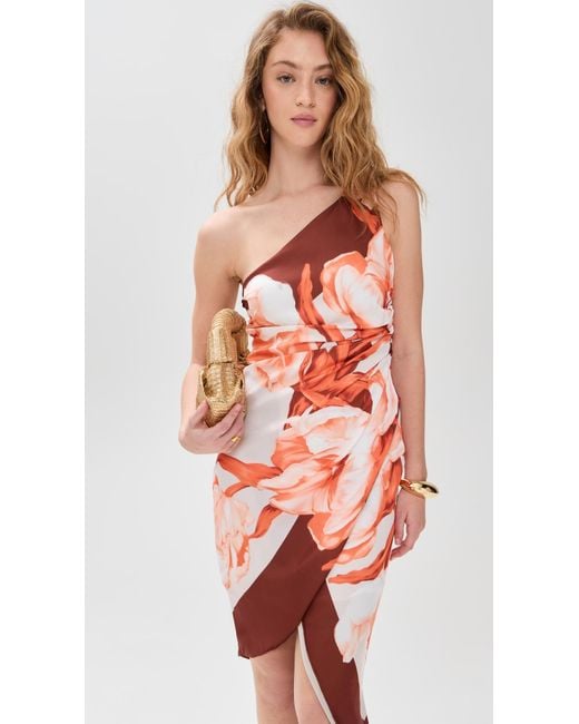 Rococo Sand Red Printed Midi Dress