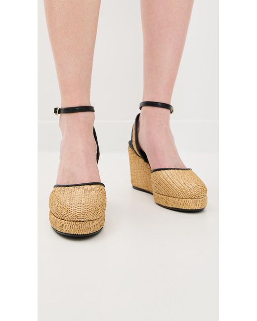Castaner Black Cass 104 Espadrilles