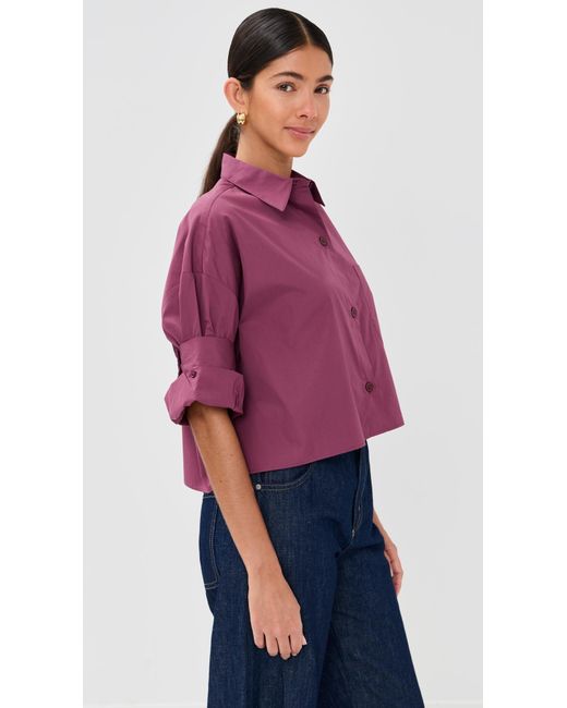 Twp Purple Next Ex Button Down Shirt