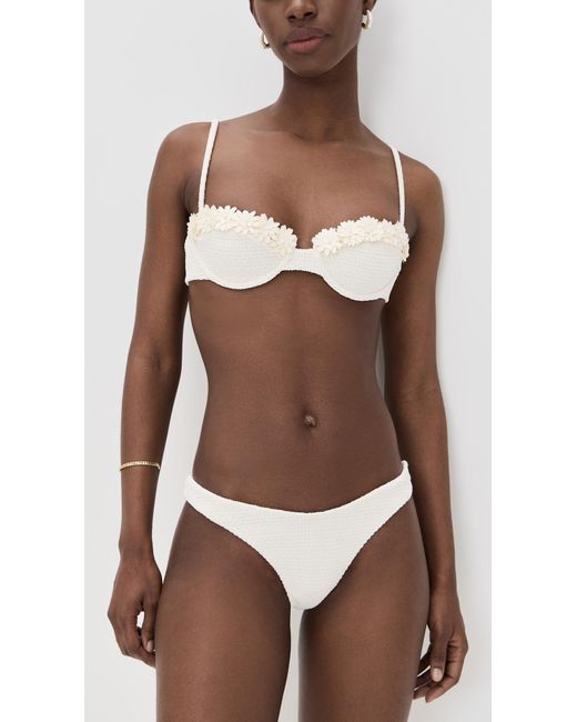 Devon Windsor Brown Gene Bottoms