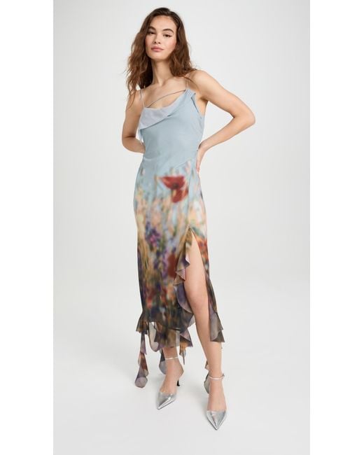 Acne Multicolor Blurry Meadow Chiffon Dress